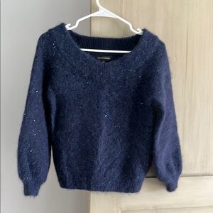 Women's Navy Blue Sweater banana republic